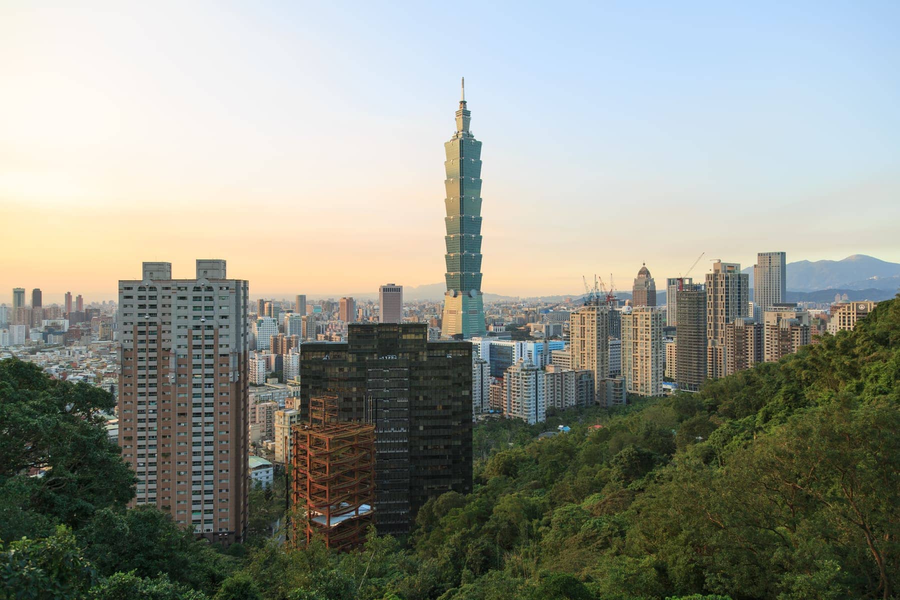 Taipei 101 tower rising above the city, seen from a forested hillside